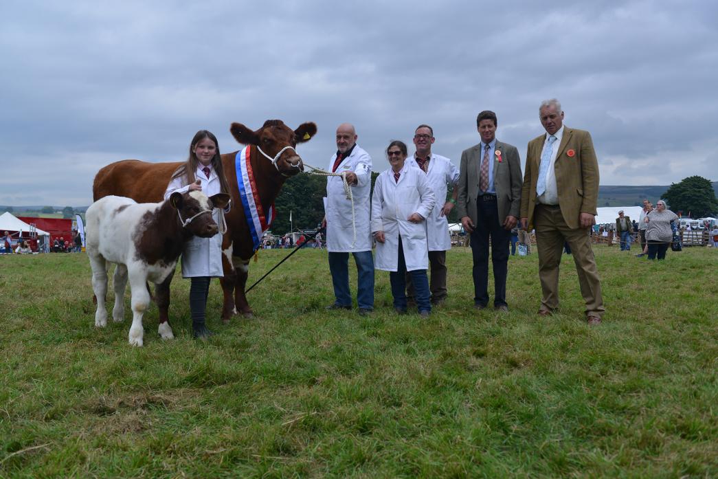 BEST IN SHOW: A beef shorhorn cow and its calf exhibitd by MR & JE Souter earned the best in show honour at the 145th Eggleston Agricultural Show. Seen with the magnifcent animals are Iona Park, Michael and Joanne Souter, Ian Park, show president Geoff Wi