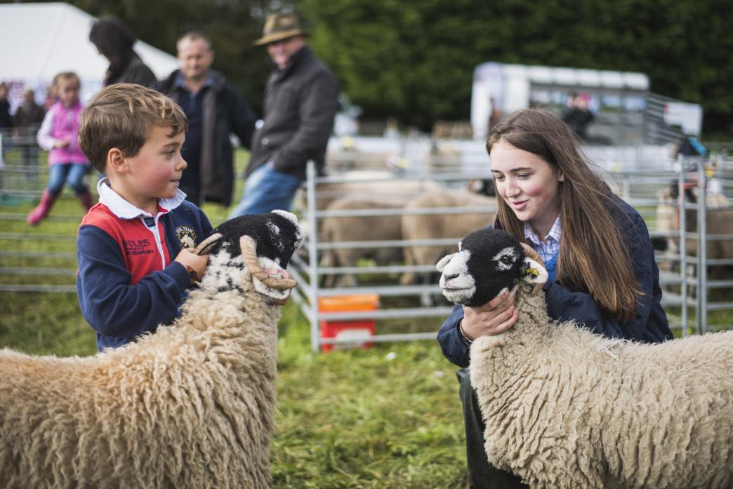 SWALEDALE SHEEP: Young farmers getting their sheep ready for the judges at 2019’s event