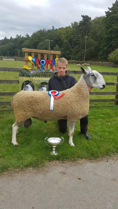 Jack Wilkinson exhibited the champion traditional blue-faced Leicester sheep