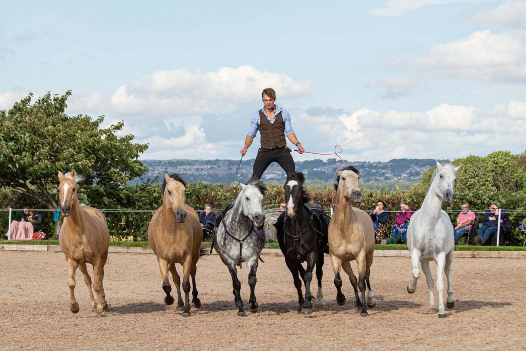 STUNT RIDER: Trainer Ben Atkinson wowed audiences with the spectacular performance with his action horses 							                Jim Wood Images