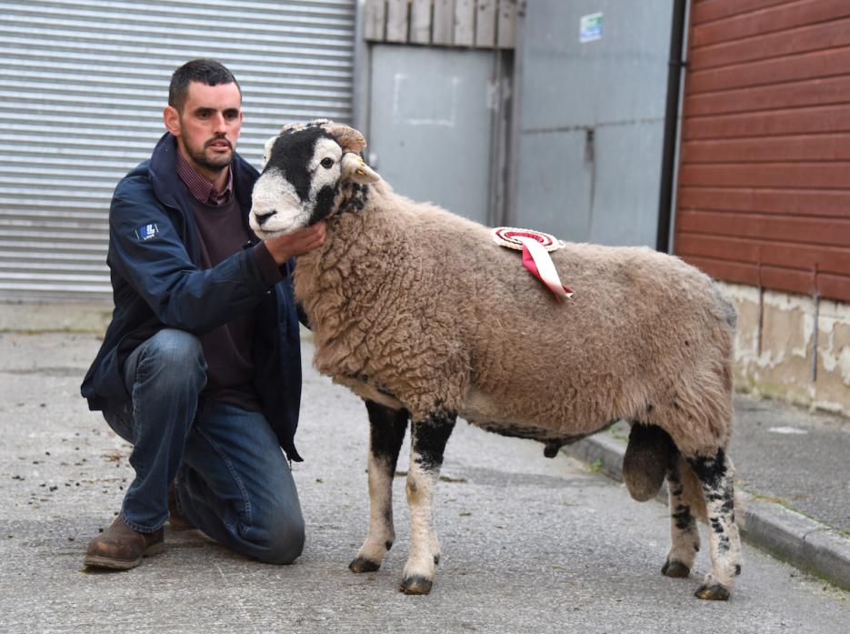 SHOW SUCCESS: David Addison with the top aged ram and reserve champion at the annual Skipton Swaledale show