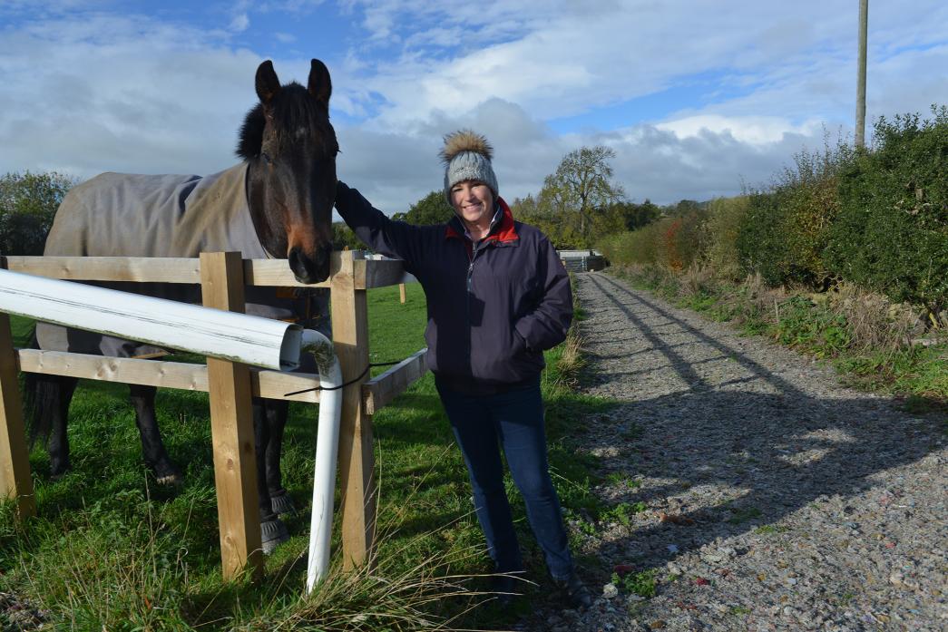 NEW VENTURE: Donna Dobson with her daughter Zara’s horse Mullins at her Mount Pleasant Livery
