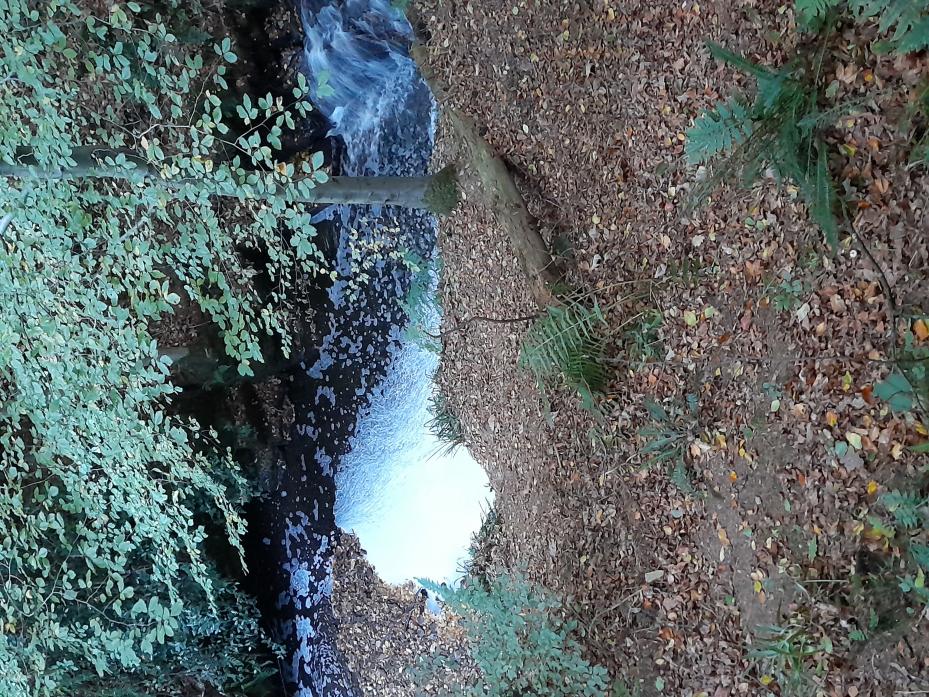BEAUTY SPOT: The water in Percy Beck is covered with foam most mornings