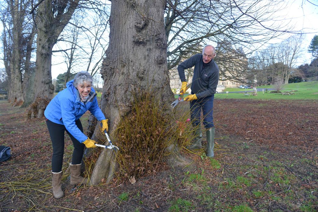 JOIN US: Gillian Pryce-Taylor and Richard Jackson are hoping more people will join the team of volunteer gardeners who keep The Bowes Museum grounds in tip top condition