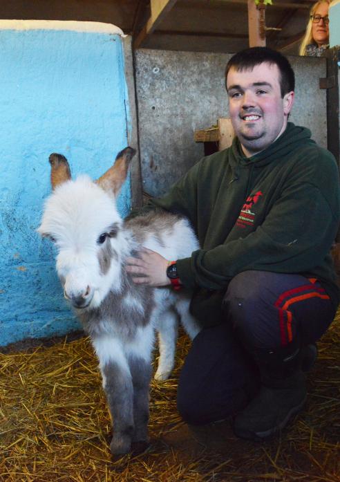 NEW LIFE:  Wetheriggs volunteer Stephen Mounter with the new-born Mediterranean pygmy donkey Lorenzo
