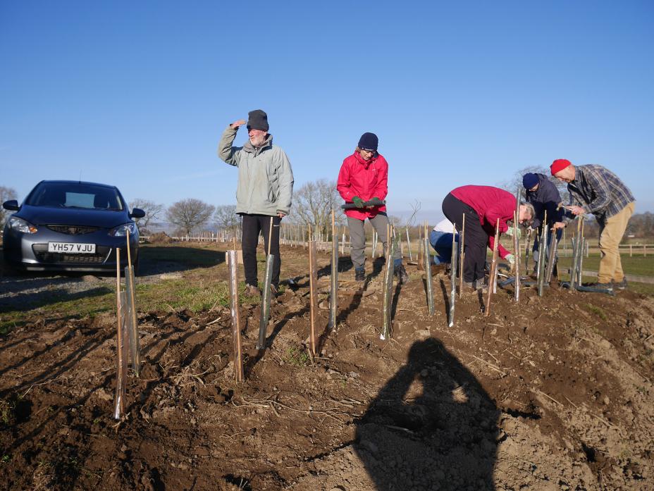TREE-MENDOUS EFFORT: Trees for Teesdale volunteers enjoyed a record breaking year for planting and the amount of time donated