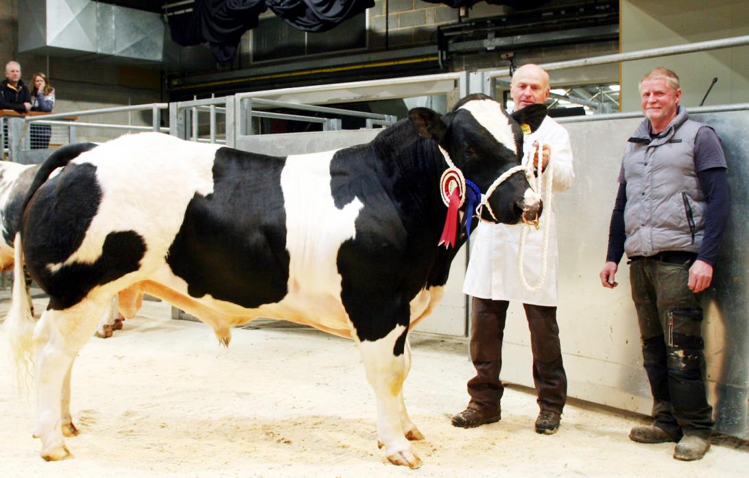 NEW HOME: Mark Hartley, with the British Blue joint top 4,000gns bull at Skipton’s annual Blue Wednesday pedigree show and sale and judge Stewart Gill. The bull was bought by Staindrop-based B&JD Beadle