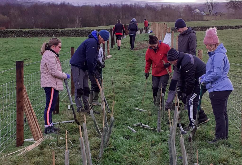 HELP WANTED: Tree and hedge planting are among the activities supported by volunteers working with the North Pennines AONB Partnership