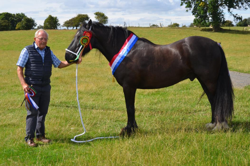 SUPERIOR ANIMAL: Keith Metcalf, from Bolam, with 12-year-old Bolam Danny won the gelding championship                           TM pic
