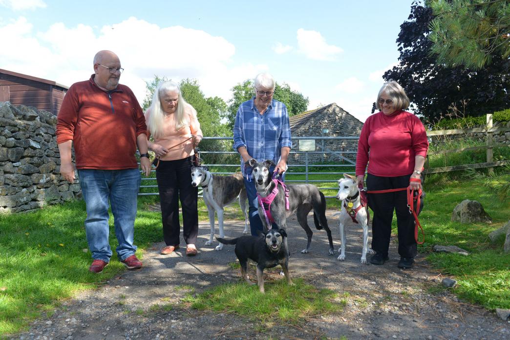 WALKIES: Mike Wylie with companion dog Zak, Glynis Laidler with Bess, Sheila Wylie with May and Carroll Trevor with Amber prepare for the Great Global Greyhound Walk at Hutton Magna on Sunday, September 24 TM pic