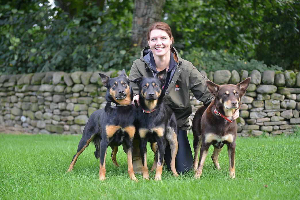 SPECIAL SKILLS: Catherine Atkinson with her team of working kelpies  						    TM pic