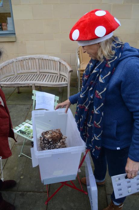 HEALTHY DEBATE: North East Fungi Study Group member Cath Gillie extolled the virtues of mushrooms	  	  TM pics