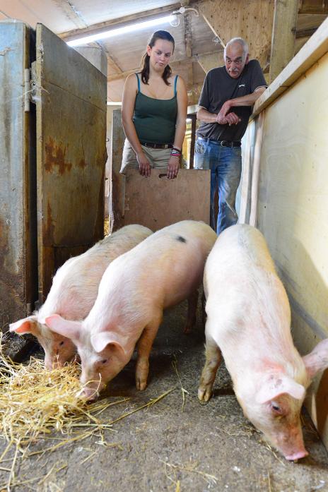 HISTORIC BREED: Terry Bowes and his daughter Sally with some of the piglets that form part of a project to recreate the extinct Cumberland pig breed