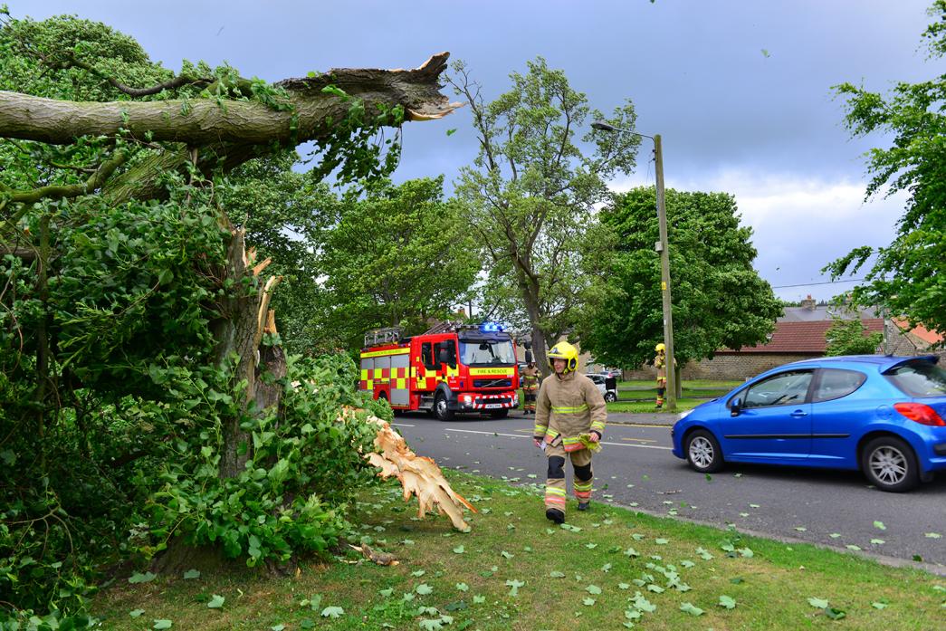 STORMY: High winds from Storm Hector hit the dale, bringing down a tree in the centre of Cockfield
