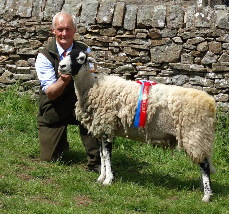 BEST IN SHOW: Stanley Brogden, of Brough, with the champion Swaledale sheep at Stainmore  Picture: Kay Hutchinson