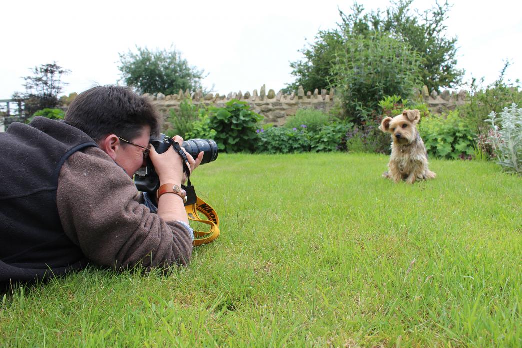 SAY CHEESE: A pooch poses for Heather Taylor. Below, Heather with her camera