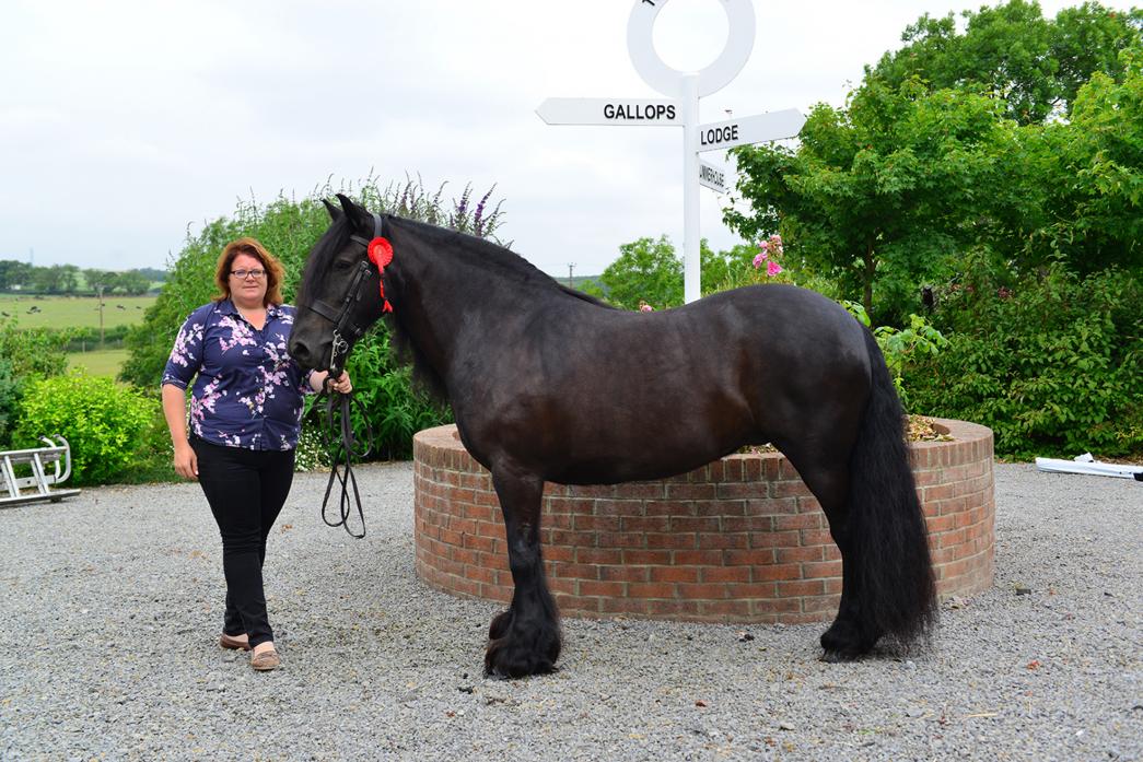 JUST THE TICKET: Anna Pennell with Nipna Flora, which earned a place at the Horse of the Year Show