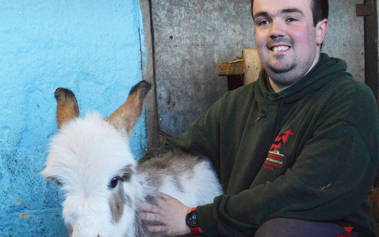Meet the new-born donkey rarer than a giant panda